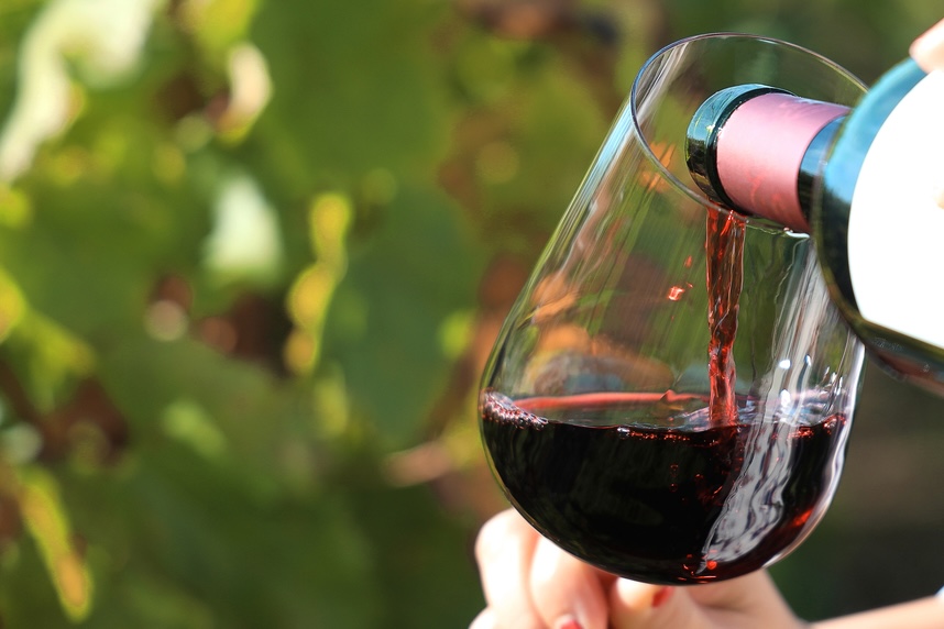 Vino Syrah: historia, características y maridajes Vino Syrah: historia, características y maridajes